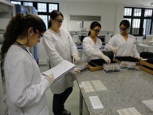 Saúde implanta teste que torna doação de sangue mais segura
