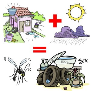 SES alerta para os cuidados de combate à dengue no verão