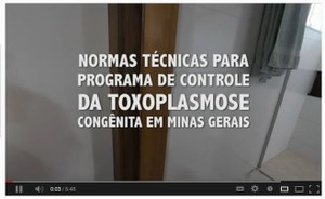 Programa de Triagem Pré-Natal para Controle da Toxoplasmose Congênita