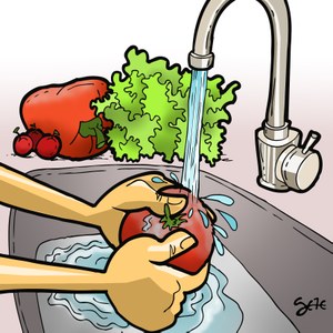 SES orienta sobre os cuidados com a alimentação para evitar a intoxicação alimentar