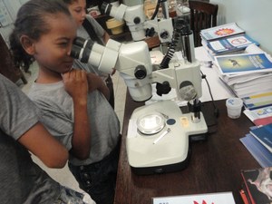 Crianças aprendem sobre a prevenção à dengue em Juiz de Fora