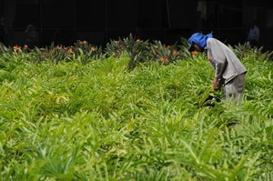 Saúde alerta sobre prevenção às doenças do trabalho