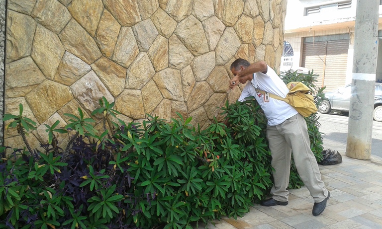 Crédito: Alessandra Maximiano