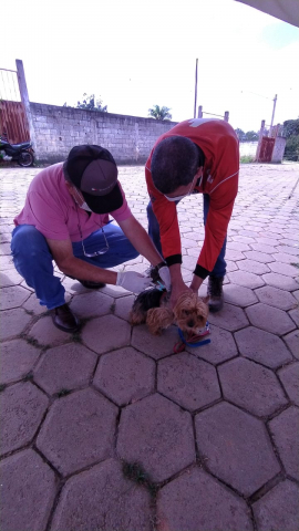 Divulgação
