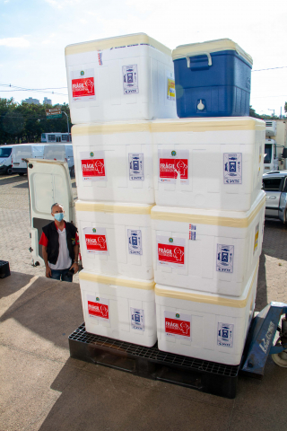 SRS-Sete Lagoas realiza distribuição de vacinas contra a covid-19. Os 35 municípios da região receberam mais de 47 mil doses da Pfizer para imunização de crianças e adultos. Crédito: Fábio Marchetto