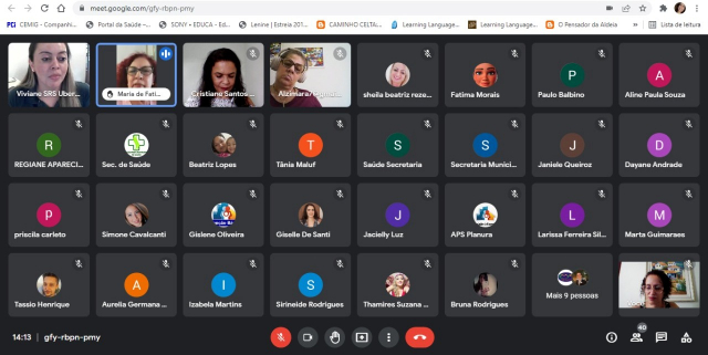 Reunião online de Orientações sobre as Conferências Municipais de Saúde Mental