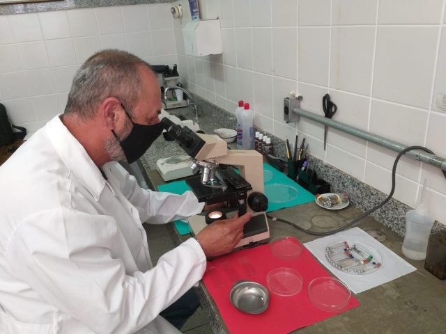 Laboratório de análise larvária da SRS Varginha - Foto: Tânia Corrêa