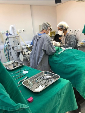 Atendimento ao Paciente com Necessidades Especiais na Odontologia Hospitalar. Foto: ASCOM- PBH