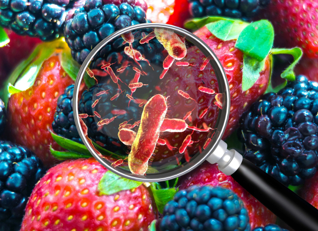 Alimentos contaminados são uma das causas das doenças diarreicas - Foto: Shutterstock / Giovanni Cancemi