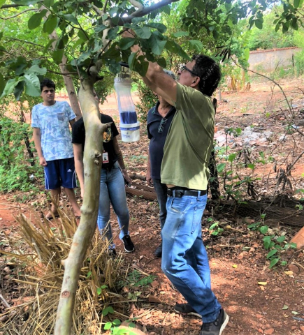 Instalação de armadilhas em áreas próximas a domicílios - Foto: SRS montes Claros
