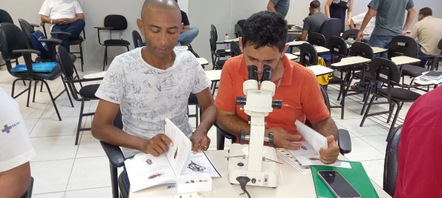Foto: Giuliana Dias