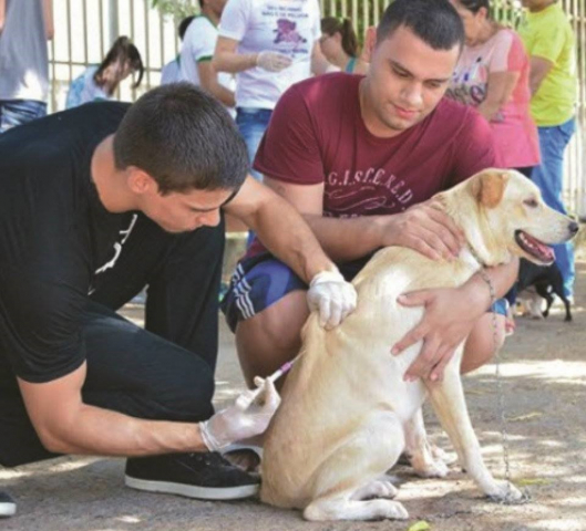 Foto: SES-MG