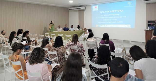 Oficina de elaboração do PRI da macrorregião de Saúde Norte - Foto: Pedro Ricardo SRS Montes Claros