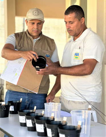 23.01.2024-Montes-Claros-ovitrmapas